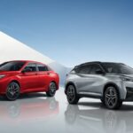 دونج فينج ميج