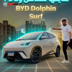 byd dolphin surf